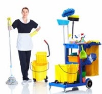 Vale Cleaning Services Ltd. 975446 Image 8