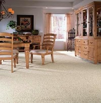 Wrennalls Carpet Care Ltd 961716 Image 4
