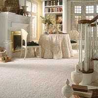 Wrennalls Carpet Care Ltd 961716 Image 6