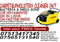 carpet cleaneranddomestic cleaners 979829 Image 0
