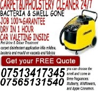 carpet cleaneranddomestic cleaners 979829 Image 2