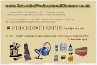 steve the professional cleaner 983313 Image 0