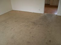 1A Acclaim Carpet Cleaners 965851 Image 3
