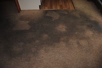 1A Acclaim Carpet Cleaners 965851 Image 7