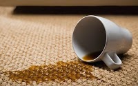1st Choice Carpet Cleaning 977167 Image 2