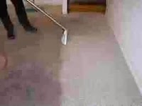 AMBI Carpet Cleaning 980201 Image 3