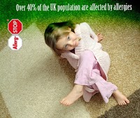 Able Carpet Cleaning 964001 Image 4