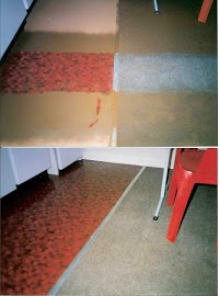 Adrians Amazing Carpet Cleaning 983979 Image 1