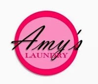 Amys Laundry 956815 Image 0