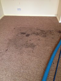 Aquadri Carpet Cleaning 990397 Image 6