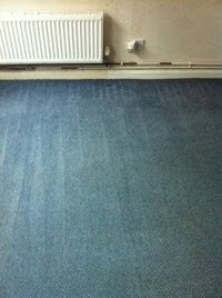 Aquarius Carpet Cleaning 985712 Image 5