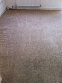 Aquarius Carpet Cleaning 985712 Image 6