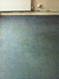 Aquarius Carpet Cleaning 985712 Image 7