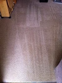 Aquarius Carpet Cleaning 985712 Image 8