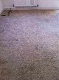 Aquarius Carpet Cleaning 985712 Image 9
