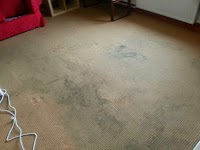 Aura Carpet Cleaning 973408 Image 6