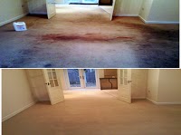 Barnsley Carpet Cleaners 975215 Image 5
