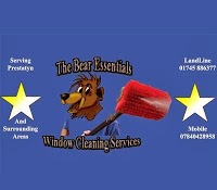 Bear Essentials Window Cleaning Services 980793 Image 0