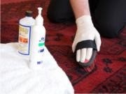 Bedford Carpet and Upholstery Cleaners 973169 Image 2