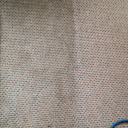 Betta Clean Carpet and Upholstery 960410 Image 3