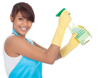 Bizzee Beez Domestic Cleaning Service. Established 2005 983864 Image 2