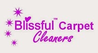Blissful Carpet Cleaner   Domestic and Commercial 976406 Image 0