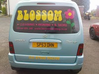 Blossom Cleaning 988901 Image 1