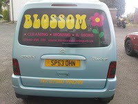 Blossom Cleaning 991581 Image 1