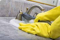 Blossom Commercial and Domestic cleaning services 983410 Image 0