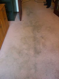 Bone Dry Carpet Cleaning 988839 Image 1