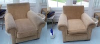 Buckland Carpet and Fabric Care 990707 Image 2