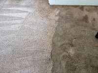 Burnley Carpet Clean 962363 Image 6