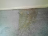 CCS Your Local Carpet Cleaner 968970 Image 1
