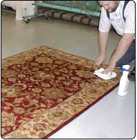 Carpet Cleaners (NCCA approved), Odour, Urine and Stain removal. 964978 Image 1
