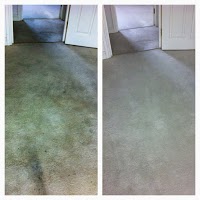 Carpet Cleaning Higham Ferrers 986920 Image 4