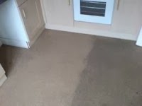 Carpet Cleaning nw 967480 Image 6