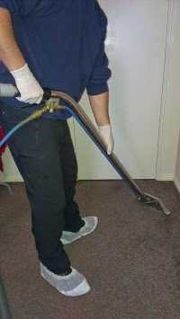 Carpet Cleaning nw 967480 Image 8