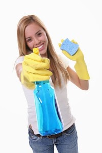 Chrisco Cleaning services 978675 Image 0