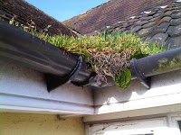 Clean My Gutters 979068 Image 0