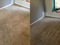 Clean a Carpet Chichester 985094 Image 6
