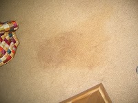 Clean a Carpet Ltd 975175 Image 9