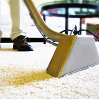 Cleaner Carpets Mansfield 976517 Image 0