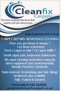 Cleanfix Carpets 972766 Image 0