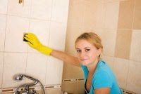Cleaning Company London 978787 Image 3