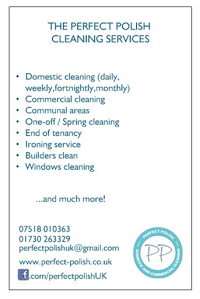 Cleaning Services PERFECT POLISH 961947 Image 2