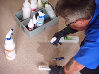 Cleanmaster Carpet Cleaning and Upholstery cleaning in Hull 989820 Image 2
