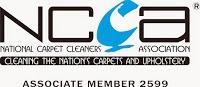 Cleanwise Carpet Care 985701 Image 1