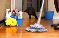 DOLLY CHAR DOMESTIC CLEANING 961615 Image 0