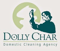 DOLLY CHAR DOMESTIC CLEANING 961615 Image 1