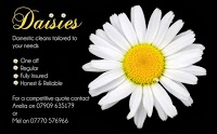 Daisies Domestic Cleaners 975897 Image 0